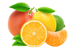 citrusvruchten