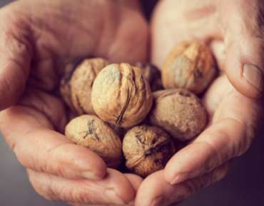 De voedingswaarde en gezondheidsvoordelen van walnoten