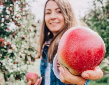 De voedingswaarde en gezondheidsvoordelen van appels